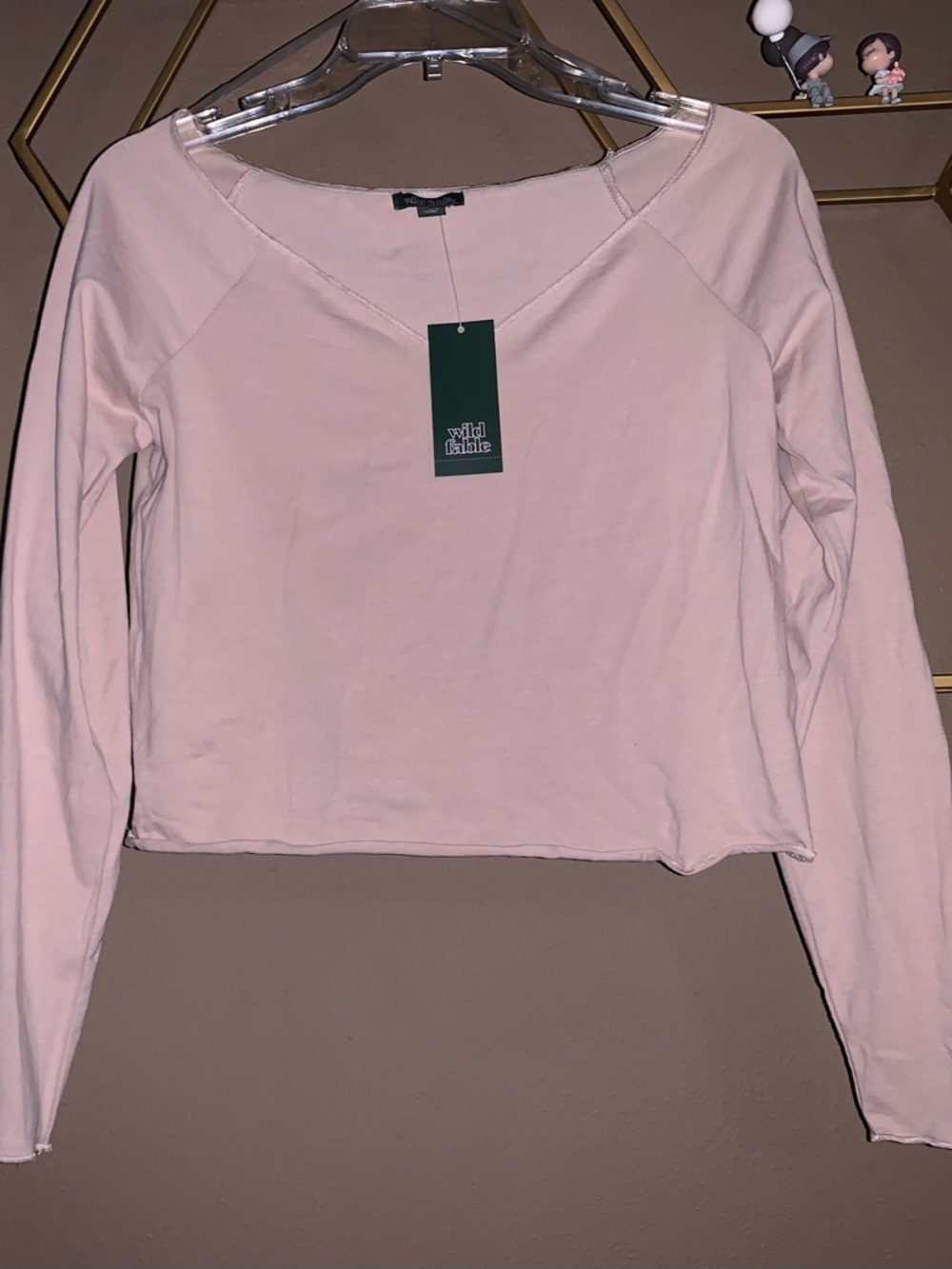 Wild Fable, Tan Long Sleeve V-Neck Cropped Tee. Women's L $5